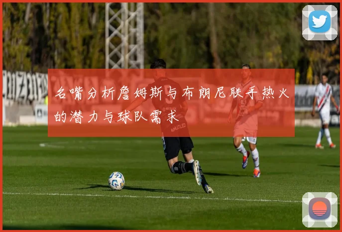 名嘴分析詹姆斯与布朗尼联手热火的潜力与球队需求